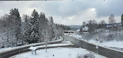 Hotel Adler Bärental