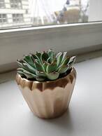 AVI City Burgplatz Apartments