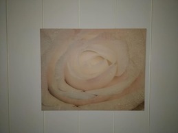 AVI City Burgplatz Apartments