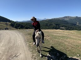 Chalet Kolasin Montenegro