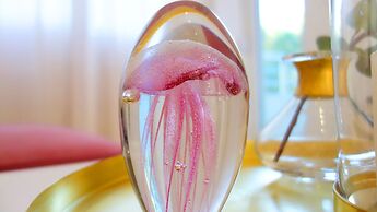 Casa Budva Apartments