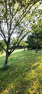 Camping des vignes