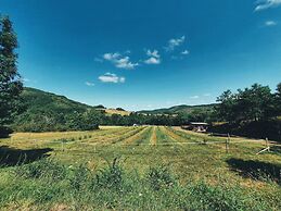 Camping des vignes