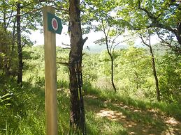 Camping des vignes