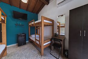 Living Hostal - Hostel