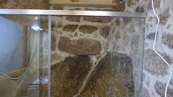 Casas da Villa- Monsanto