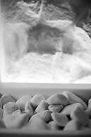 Arco Naxos Luxury Apartments