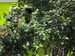 The Zanadu İstanbul