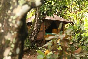 Tiki Lodge Bar & Restaurant - Hostel