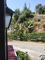 Zeytinada Pansiyon ve Gozleme