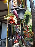 Zeytinada Pansiyon ve Gozleme