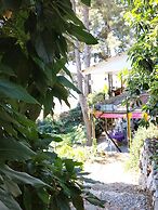 Zeytinada Pansiyon ve Gozleme