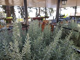 Zeytinada Pansiyon ve Gozleme