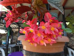 Zeytinada Pansiyon ve Gozleme