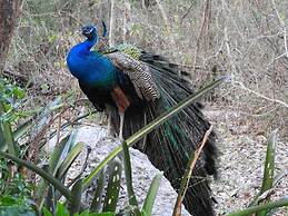 Ecoturismo Sihunchen