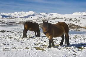 El Palacio del Campo