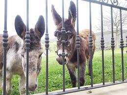 El Palacio del Campo