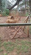 Safari Homes and Tours