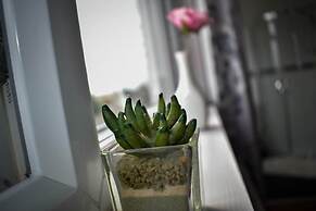 TLC Exmouth Bed and Breakfast