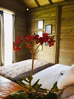 Eco Hotel las Palmas de Cocora