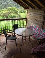 Eco Hotel las Palmas de Cocora