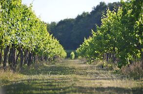 Domaine de Grande Font