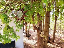 Buddha Bing Cottage and Cabins