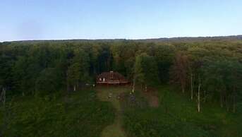 Lost Branch on the Lake