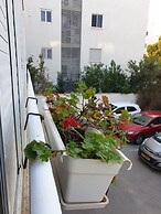 Comfortable apartment