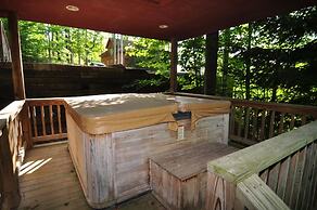 Bear`s Den - Northface