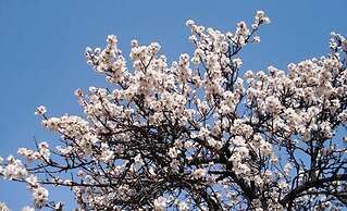 S'Hotelet de Santanyi