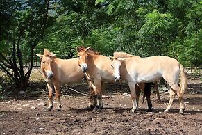 Chinshang Pastoral Farm Resort