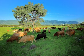 Chinshang Pastoral Farm Resort