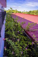 Panglao Village Court Apartments