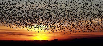 Døstrup Landevejskro & Motel