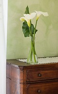 B&B Agrialpi