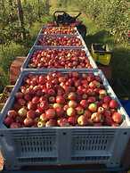 B&B Agrialpi