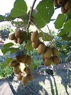 B&B Agrialpi