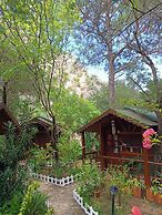 Canario Bungalows Pension