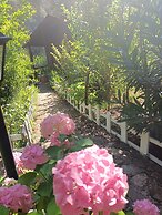 Canario Bungalows Pension