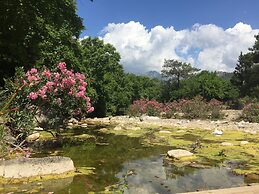 Canario Bungalows Pension