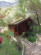Canario Bungalows Pension