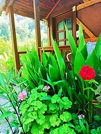 Canario Bungalows Pension