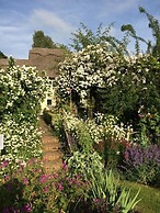 Thatched Cottage B&B