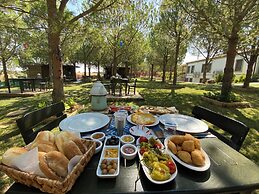 Elyada Konuk Evi (+8 Yaş )