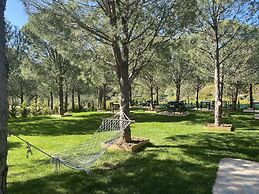 Elyada Konuk Evi (+8 Yaş )