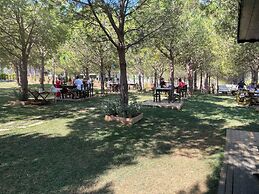 Elyada Konuk Evi (+8 Yaş )