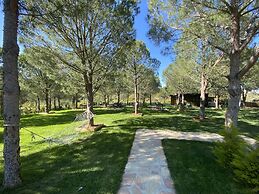 Elyada Konuk Evi (+8 Yaş )