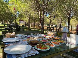 Elyada Konuk Evi (+8 Yaş )