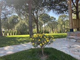 Elyada Konuk Evi (+8 Yaş )